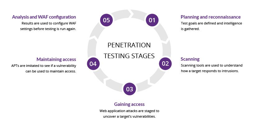 Professional Penetration Testing on the Dark Web